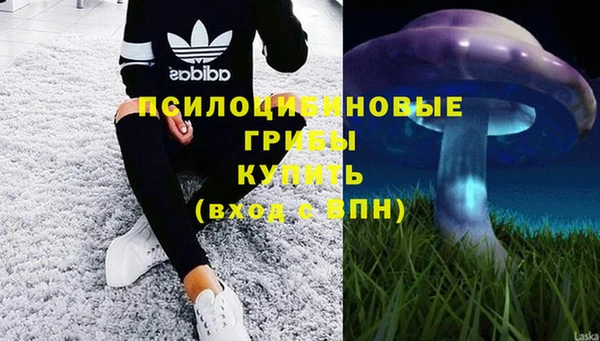 a pvp Богородицк