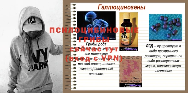 мет Богданович