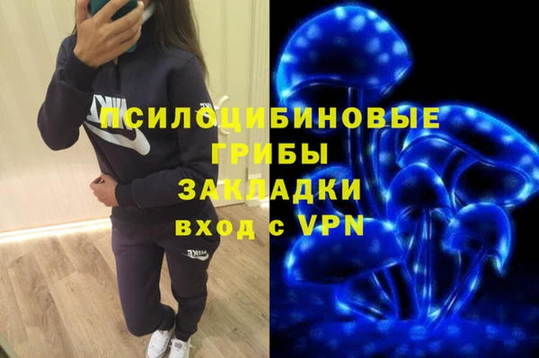 a pvp Богородицк