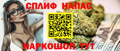 шишки Апшеронск