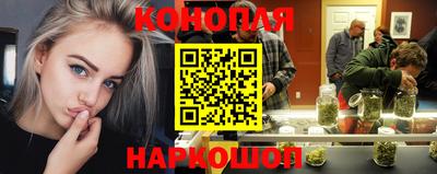 шишки Апшеронск