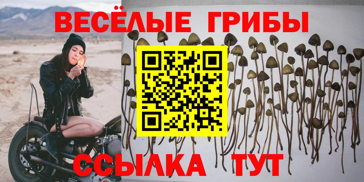 Псилоцибиновые грибы мицелий Белгород