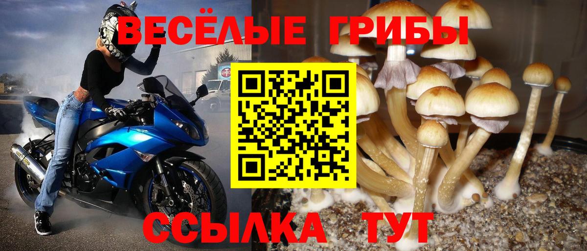 Белгород  Каннабис  Кетамин  Экстази  NBOMe  ГАШИШ  A PVP СК   Вход с VPN  Меф кристаллы 