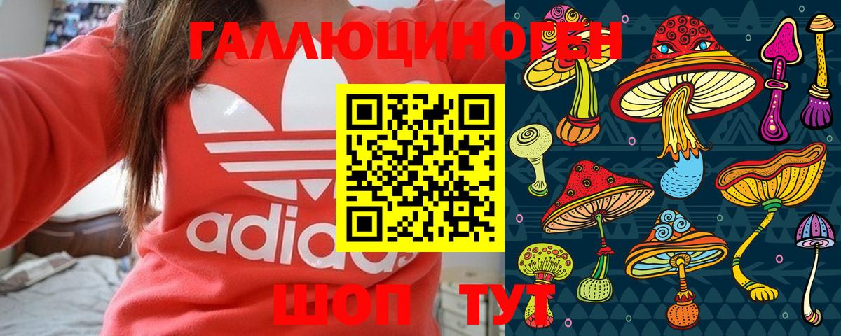 даркнет сайт  Вход с VPN  Белгород  Псилоцибиновые грибы MAGIC MUSHROOMS 